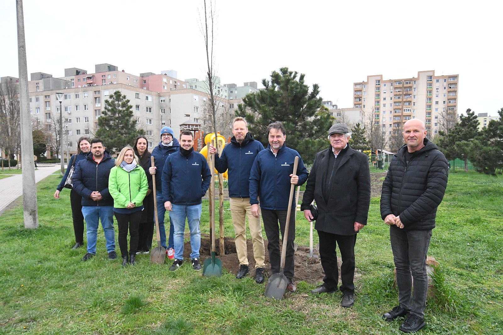 Oszlopos gyertyánfákkal gazdagodott a Palotaváros az Emerson jóvoltából